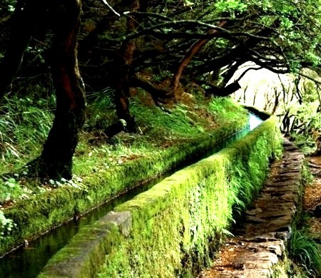 Ancient Canal,  Madeira, Portugal
