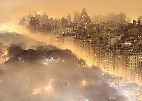Foggy Night, Central Park, New York City