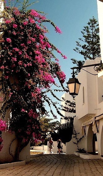 Beautiful street in Port El Kantaoui, Tunisia