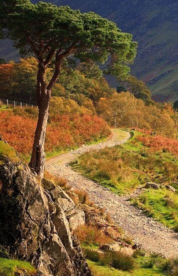Pine Tree and track, Buttermere, Lake District, England .]]>” id=”IMAGE-m794z0PcqB1r6b8aao1_500″ /></a></p>
<p>Pine Tree and track, Buttermere, Lake District, England .]]><br />#hiking, #travel, #europe, #landscape, #english</p>

			</div><!-- .entry-content -->
</article><!-- #post-38 -->

		</main><!-- #main -->
	</div><!-- #primary -->


<aside id=