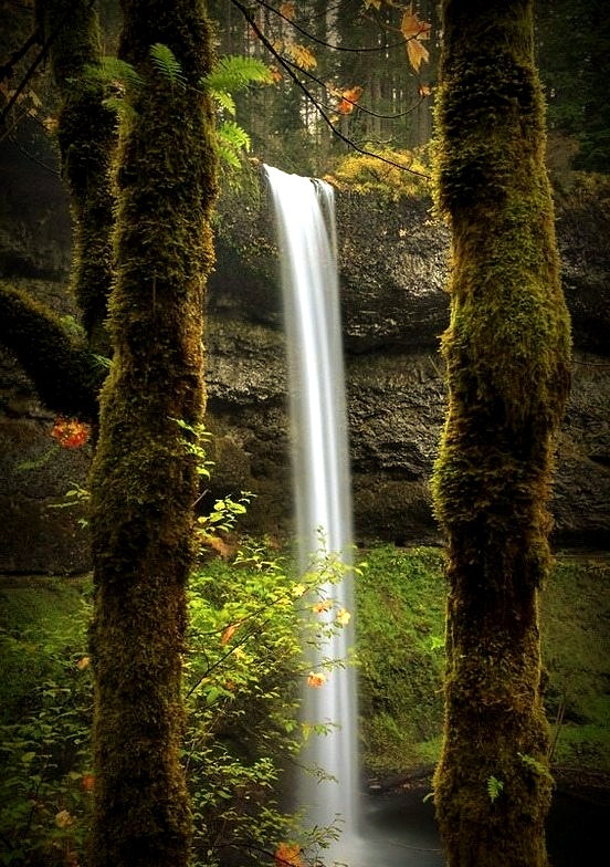 Framed Waterfall,  Silverton, Oregon