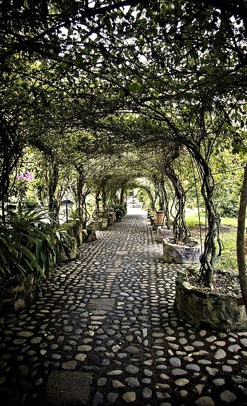 Walkway at Hosteleria and Hacienda Pontavi, Salinas, Ecuador